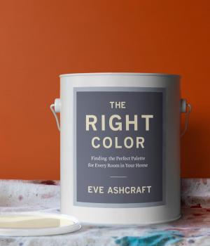 Cover of the book The Right Color by Alice Medrich