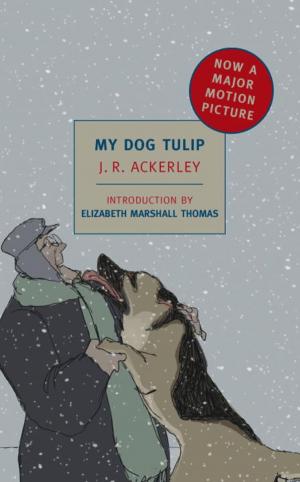 Cover of the book My Dog Tulip by John Stilgoe, Henry David Thoreau