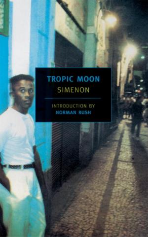 Cover of the book Tropic Moon by Wolfgang Herrndorf, Michael Maar