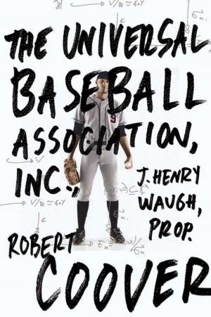 bigCover of the book The Universal Baseball Association by 