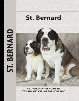 Cover of the book St. Bernard by Juliette Cunliffe