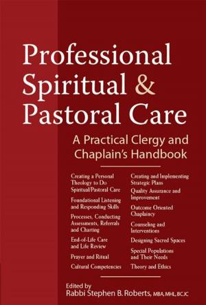 Cover of the book Professional Spiritual & Pastoral Care: A Practical Clergy and Chaplains Handbook by Terry Taylor