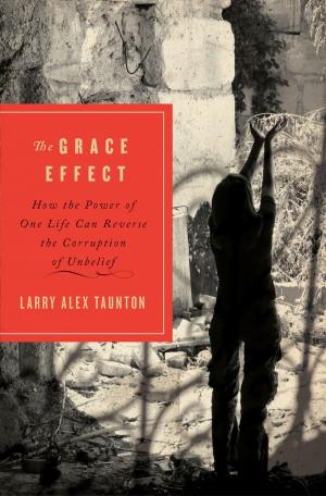 Cover of the book The Grace Effect by Stephen Arterburn