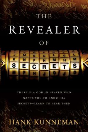 Cover of the book The Revealer Of Secrets by David Herzog