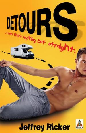 Cover of the book Detours by 
