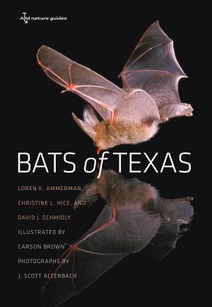 Cover of the book Bats of Texas by Jordan Hensley, Stanley N. Katz, Bruce A. Kimball, Jeremy B. Luke, Sam Stern, Jamie M. Brown, David C. Hammack