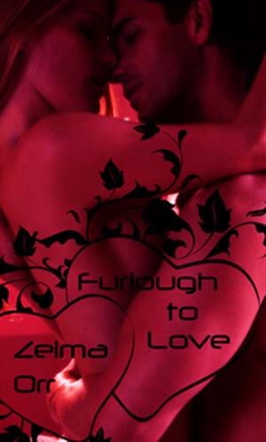 Cover of the book Furlough to Love by Liz Montgomery