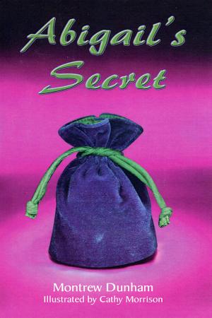 Book cover of Abigail's Secret