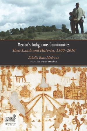 Cover of the book Mexico's Indigenous Communities by Rebecca Lindenberg