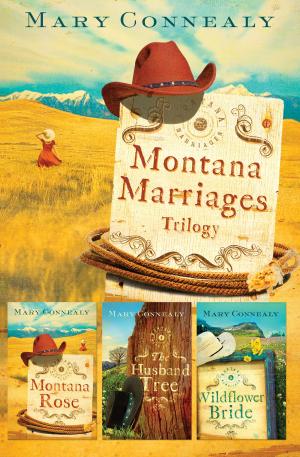 Book cover of Montana Marriages Trilogy