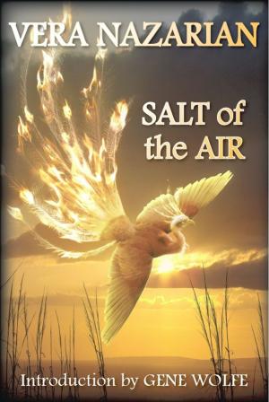 Book cover of Salt of the Air