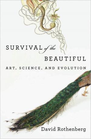 bigCover of the book Survival of the Beautiful by 
