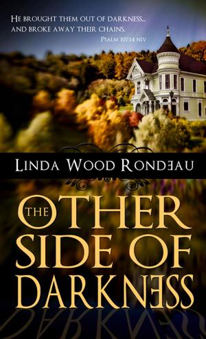 Cover of the book The Other Side of Darkness by Clare Revell