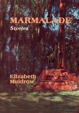 Cover of the book Marmalade by Johnny Neil Smith