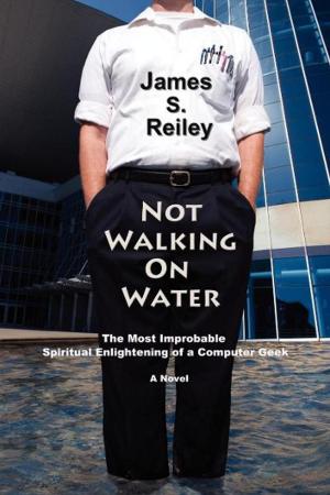 Cover of Not Walking On Water by James S. Reiley, Sunstone Press