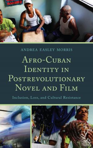 Book cover of Afro-Cuban Identity in Post-Revolutionary Novel and Film