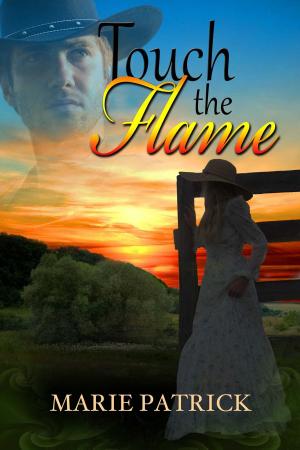 Book cover of Touch The Flame