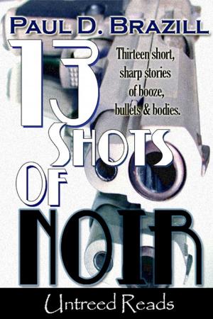 Book cover of 13 Shots of Noir