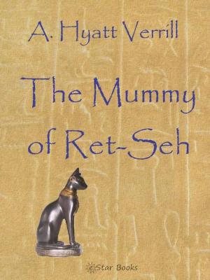 Cover of the book The Mummy of Ret-Seh by Hugh B Cave