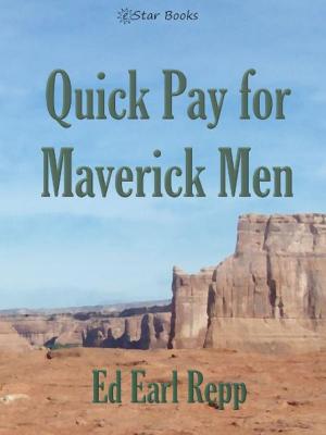 Cover of the book Quick Pay for Maverick Men by Dave Stanley