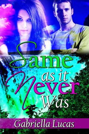 Cover of the book Same as it Never Was by A. E. Easterlin