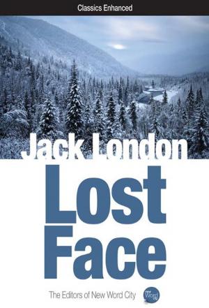 Cover of the book Lost Face by Michael Blow