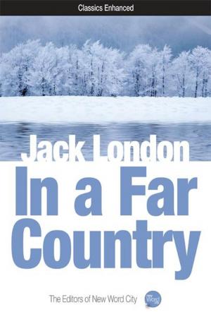 Cover of the book In a Far Country by Thomas Fleming