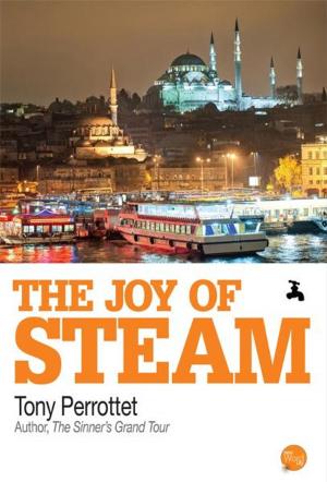 Cover of the book The Joy of Steam by Bernard A. Weisberger