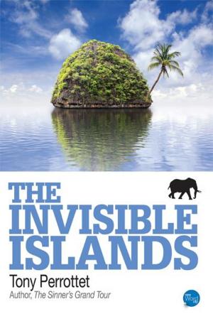 Cover of the book The Invisible Islands by Morris Bishop