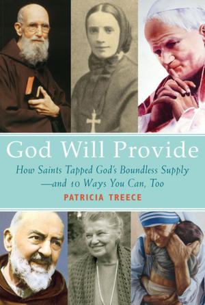 Cover of the book God Will Provide by Frank Murphy
