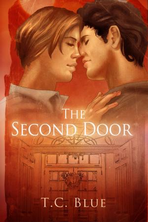 Book cover of The Second Door