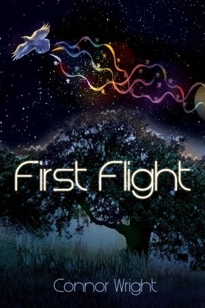 Cover of the book First Flight by j. leigh bailey