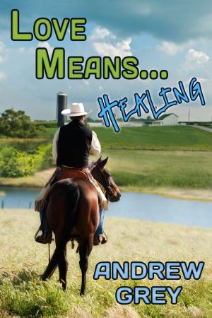 Cover of the book Love Means... Healing by Ana Raine