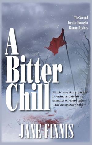 Cover of the book A Bitter Chill by Cathie Pelletier
