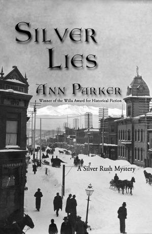 Book cover of Silver Lies