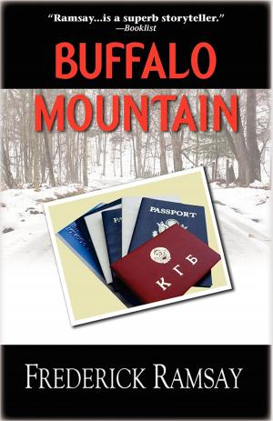 Cover of the book Buffalo Mountain by Ashlyn Chase