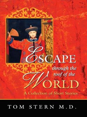 Book cover of Escape Through the Roof of the World