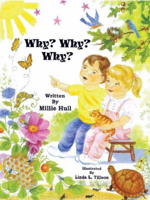 Cover of the book Why? Why? Why? by D.S. Cuellar