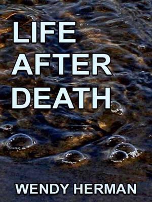 Cover of the book Life After Death by Lance Benedict