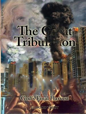 Cover of the book The Great Tribulation by Danny Schneider