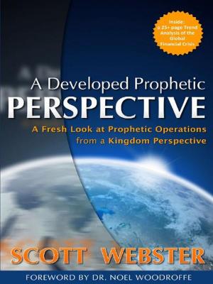 Cover of the book A Developed Prophetic Perspective by Yorker Keith