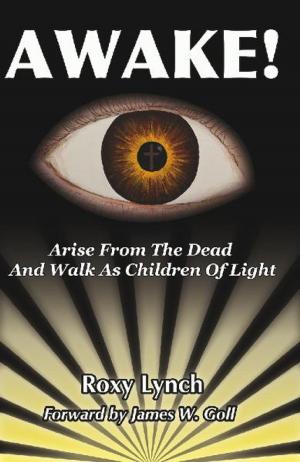 Cover of the book Awake by Terry Lutes
