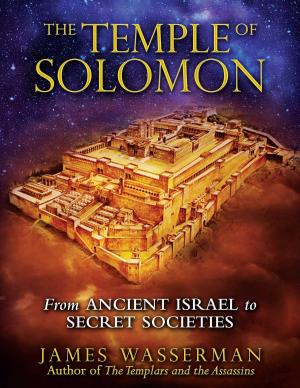 Cover of the book The Temple of Solomon by Roberto Cortelli