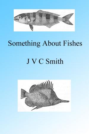 Cover of the book A Little Something About Fishes by B J Lossing