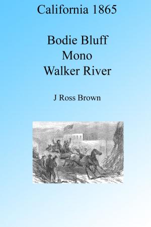 Cover of California 1865: Bodie Bluff, Mono – Dead Sea of the West, Walker River