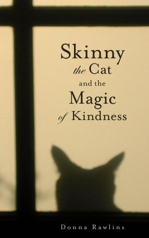 Cover of the book Skinny the Cat and the Magic of Kindness by Bill Krapfel