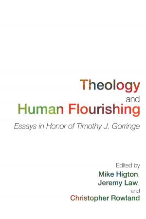 Cover of the book Theology and Human Flourishing by Donald Wallenfang