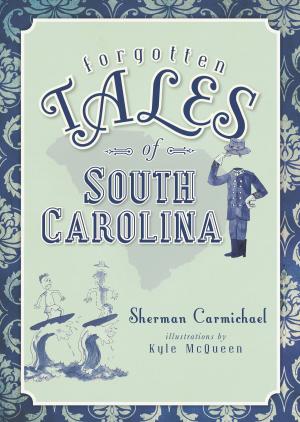 Cover of the book Forgotten Tales of South Carolina by Meredith Haley Whiteley