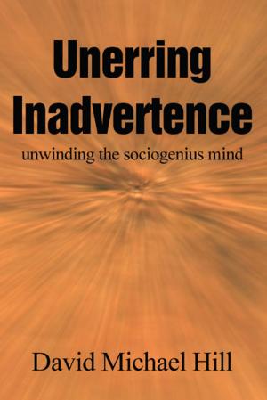 Cover of the book Unerring Inadvertence by Kathleen Demientieff Ketzler