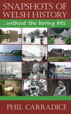 Book cover of Snapshots of Welsh History